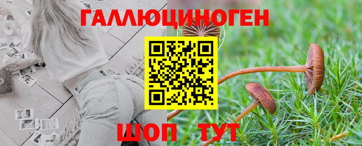 Псилоцибиновые грибы Cubensis Семёнов